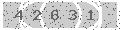 verify code